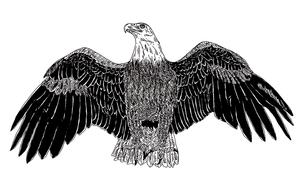DIGAWELL Eagle2