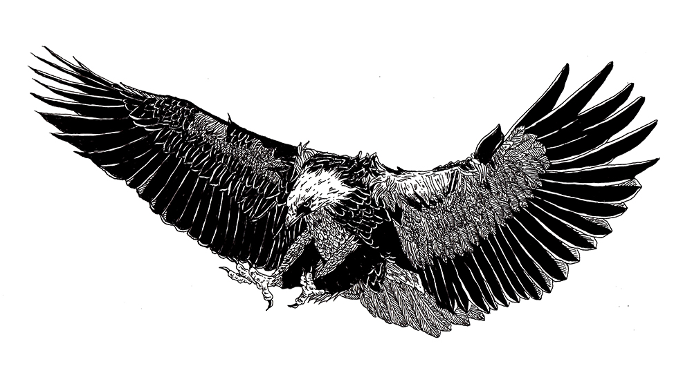 DIGAWELL Eagle1